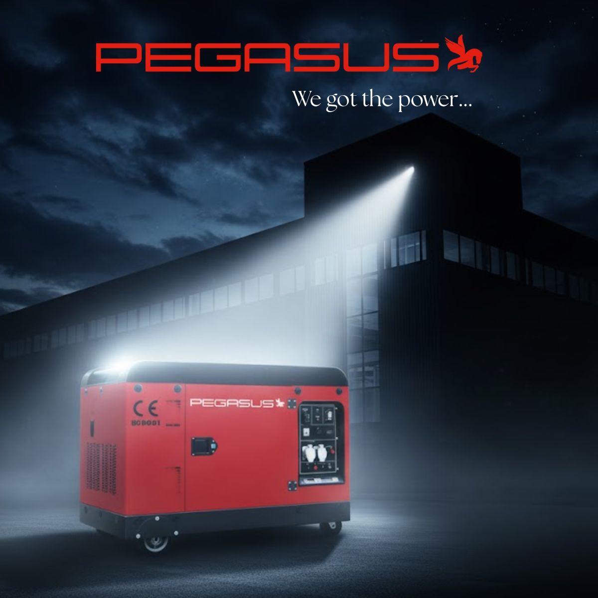 Pegasus Industrial Generator Manufacturer